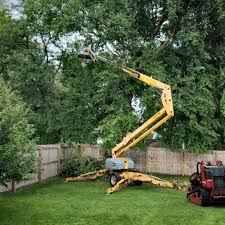 Best Lawn Grading and Leveling  in Woodbine, IA
